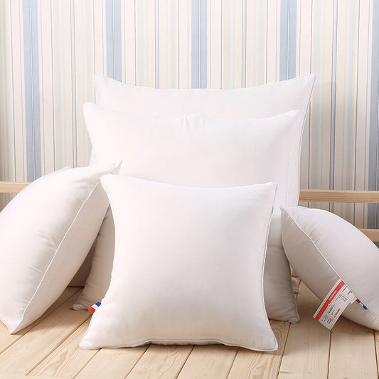 Microfiber Cushion Inserts | Set of 2 Plush Fillers for 60x60 cm Covers 0