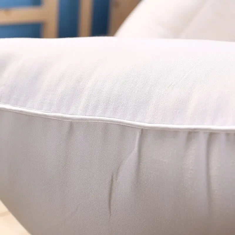 Microfiber Cushion Inserts | Set of 2 Plush Fillers for 60x60 cm Covers 4